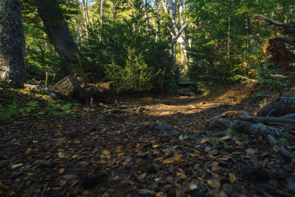 turismo naturaleza (1)